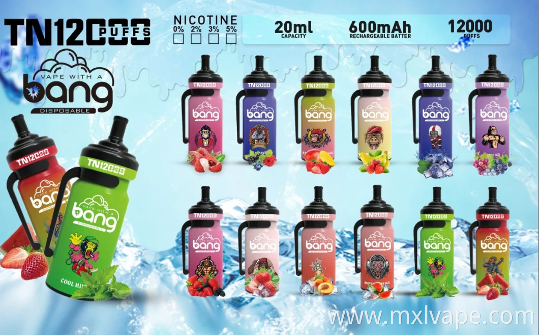 China Wholesale Custom Vaporizer Disposable Vaper Pen Bang Tn 12000 Puffs in Stock